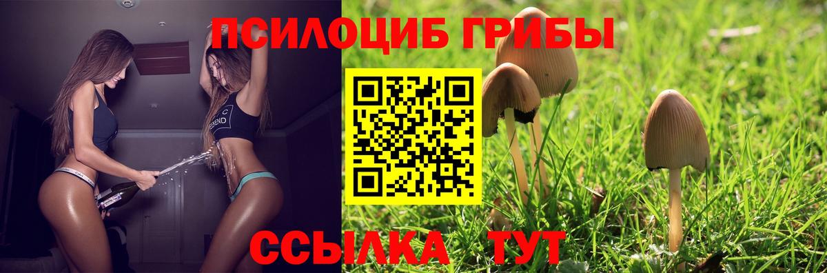 Галлюциногенные грибы Cubensis Гурьевск