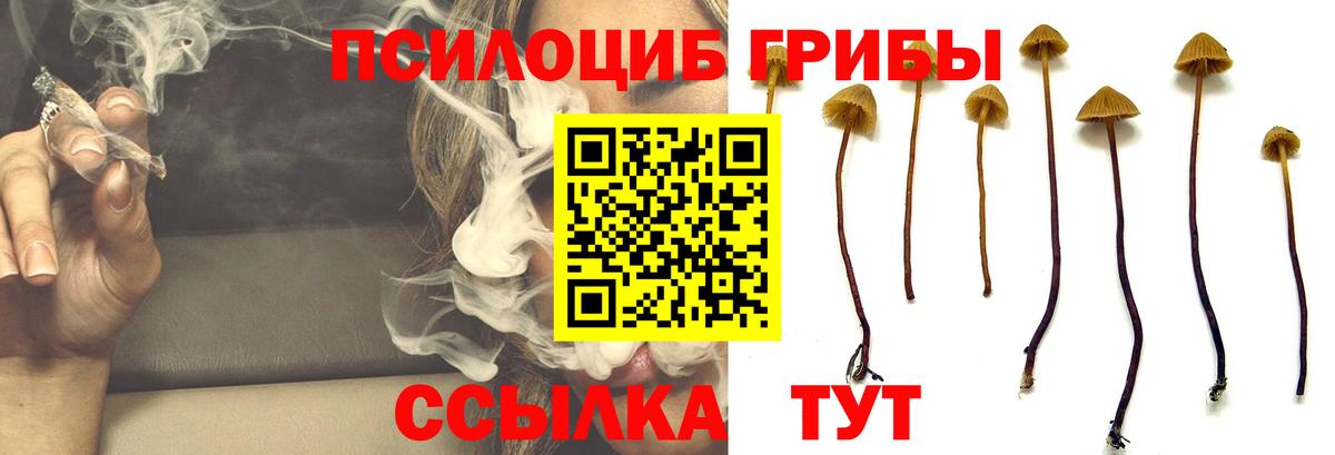 Псилоцибиновые грибы Magic Shrooms  Вход с VPN  Гурьевск 